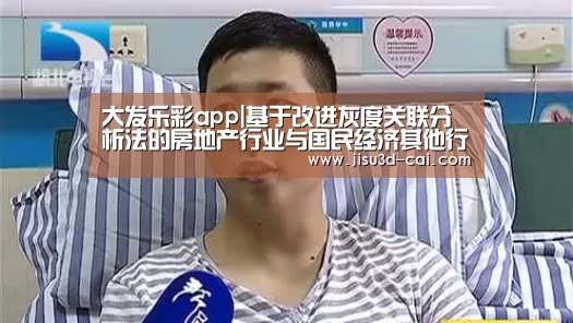 大发乐彩app|基于改进灰度关联分析法的房地产行业与国民经济其他行业关系研究(图1) 大发乐彩官网