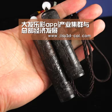 大发乐彩app|产业集群与总部经济发展(图3) 大发乐彩app