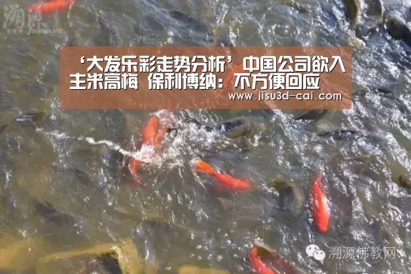 ‘大发乐彩走势分析’中国公司欲入主米高梅 保利博纳:不方便回应(图3) 大发乐彩官网