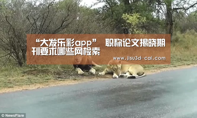 大发乐彩官网