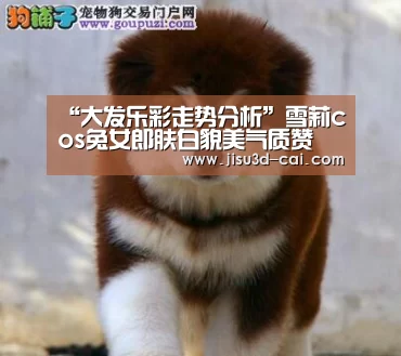 大发乐彩app