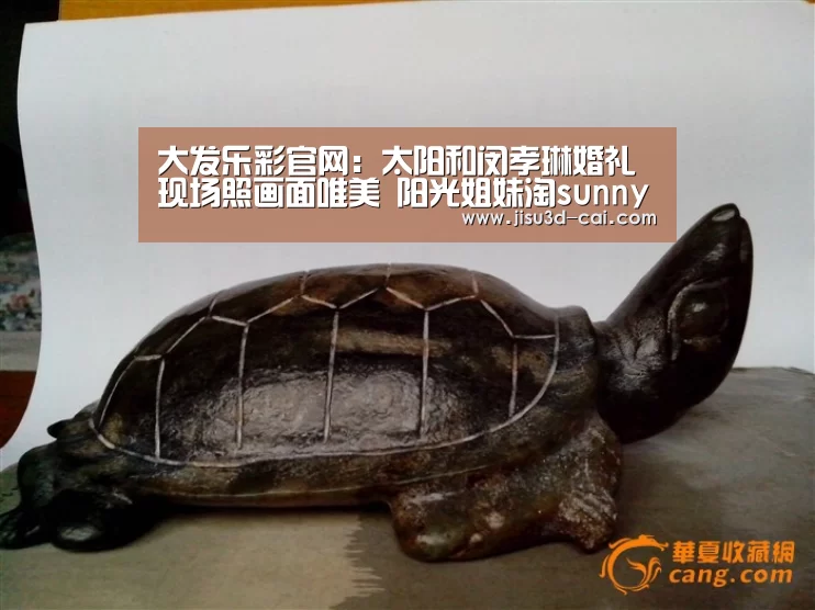 大发乐彩官网