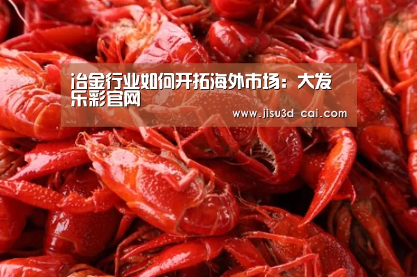 冶金行业如何开拓海外市场:大发乐彩官网(图1) 大发乐彩开奖查询